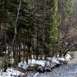 badersee-blog_leichte-winterwanderwege_050_kramerplateauweg