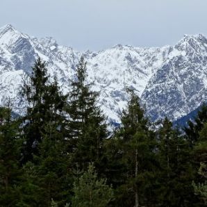 badersee-blog_leichte-winterwanderwege_052_kramerplateauweg