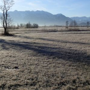 badersee-blog_leichte-winterwanderwege_089_murnauer-moos