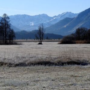 badersee-blog_leichte-winterwanderwege_093_murnauer-moos