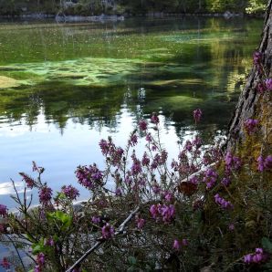 hotel-am-badersee_zugspitzdorf-grainau_001_spring