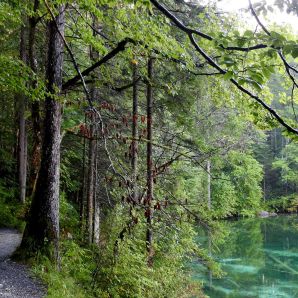 hotel-am-badersee_zugspitzdorf-grainau_002_spring