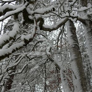 hotel-am-badersee_zugspitzdorf-grainau_029_winter