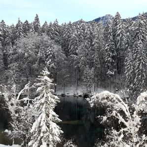 hotel-am-badersee_zugspitzdorf-grainau_039_winter