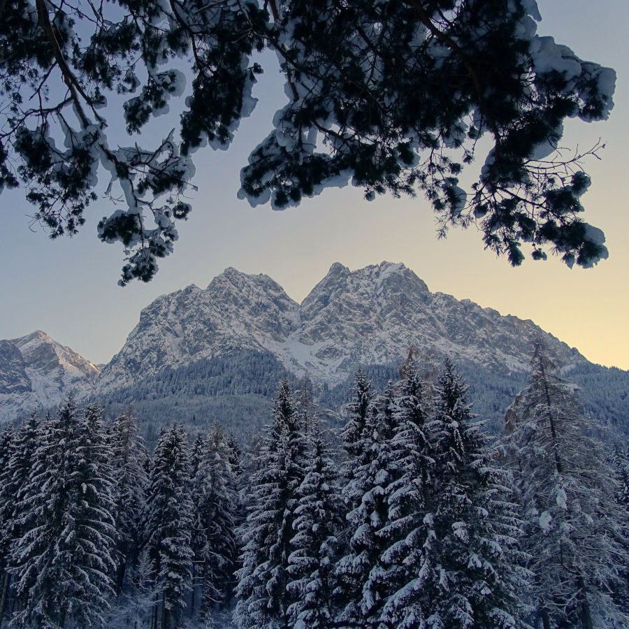 The Badersee Blog