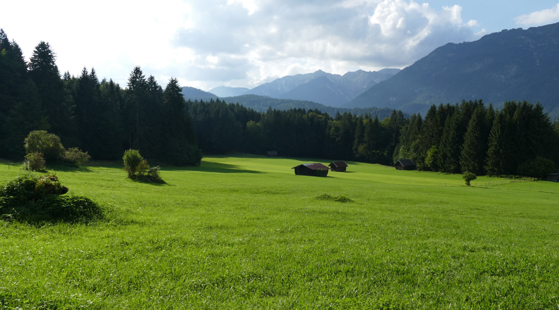 Hotel am Badersee - Nachhaltigkeit & Naturschutz