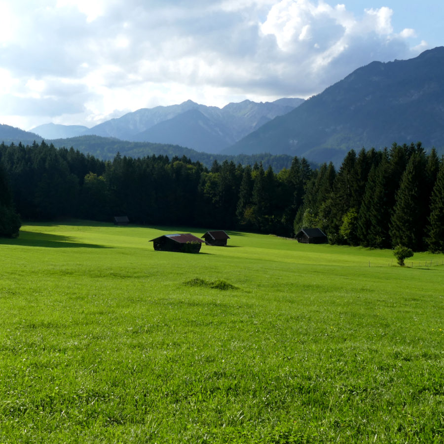 Hotel am Badersee - Nachhaltigkeit & Naturschutz