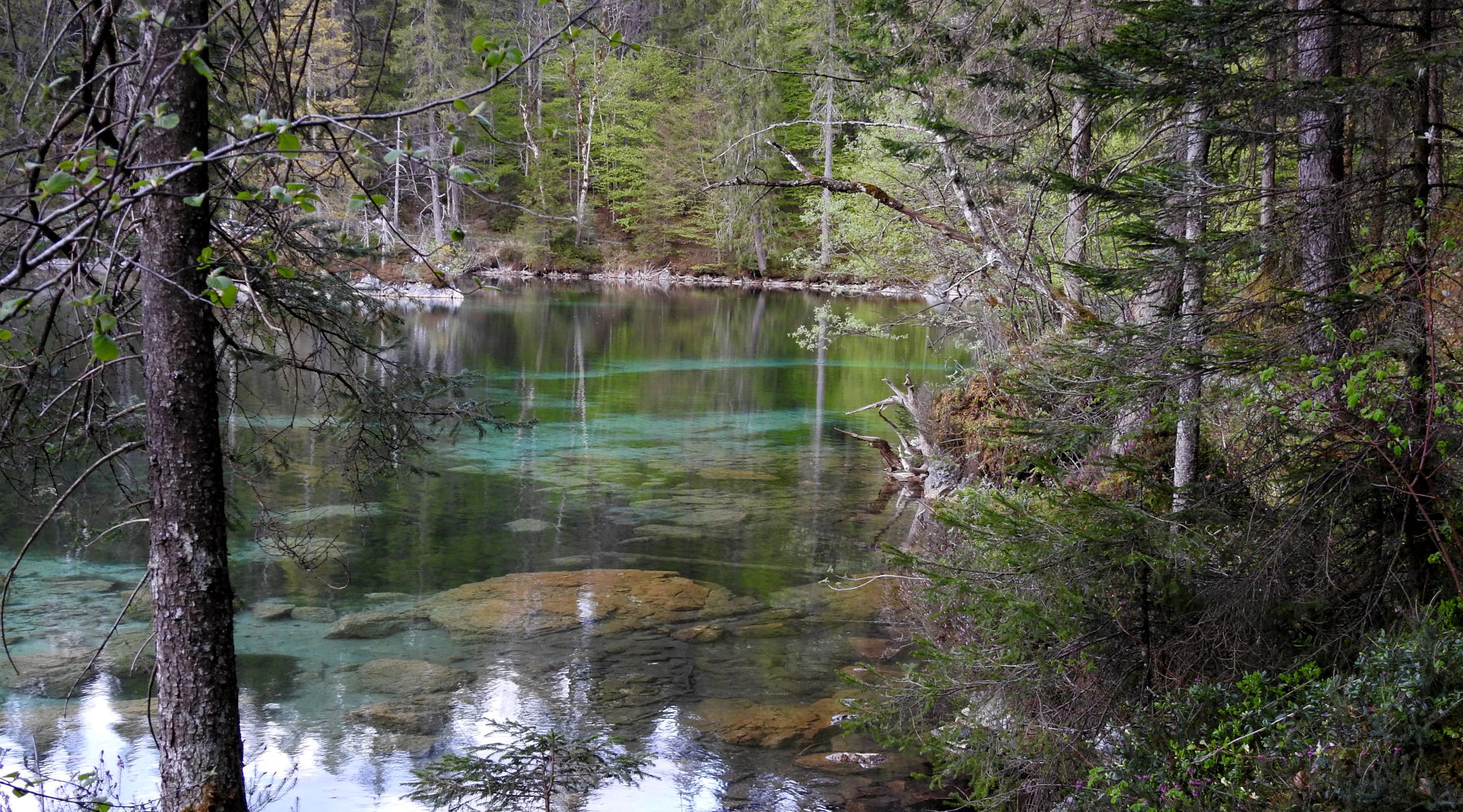 Hotel am Badersee - Nature, Sports & Bavarian Culture