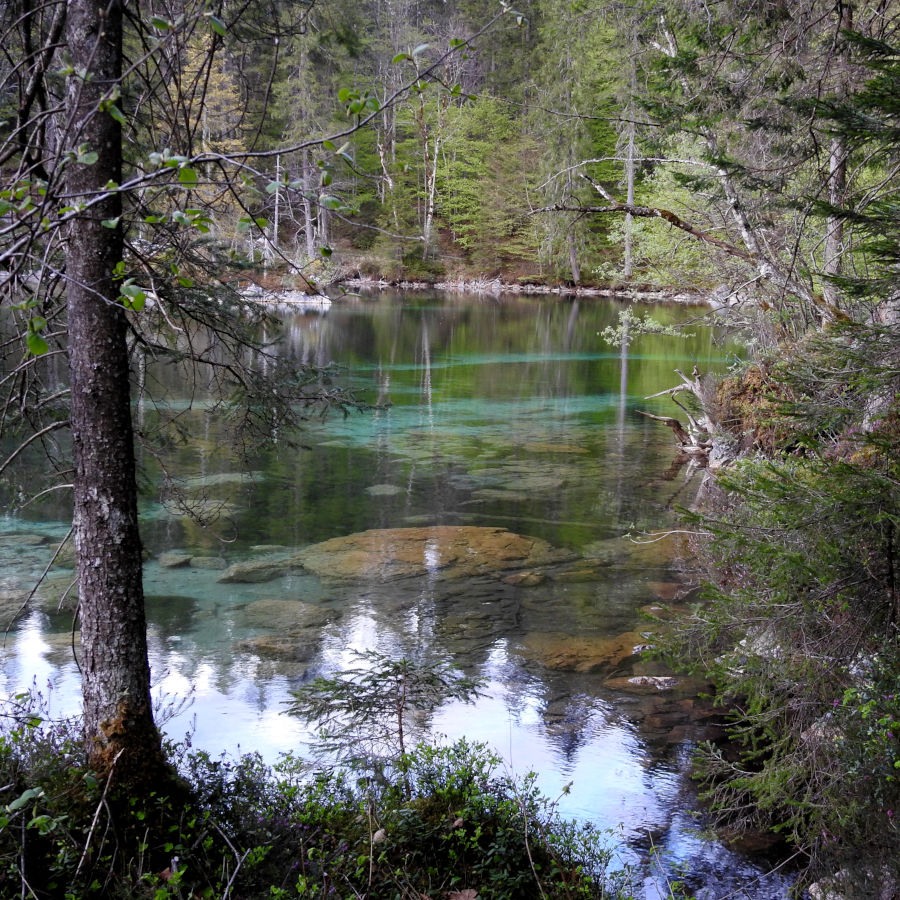 Hotel am Badersee - Nature, Sports & Bavarian Culture