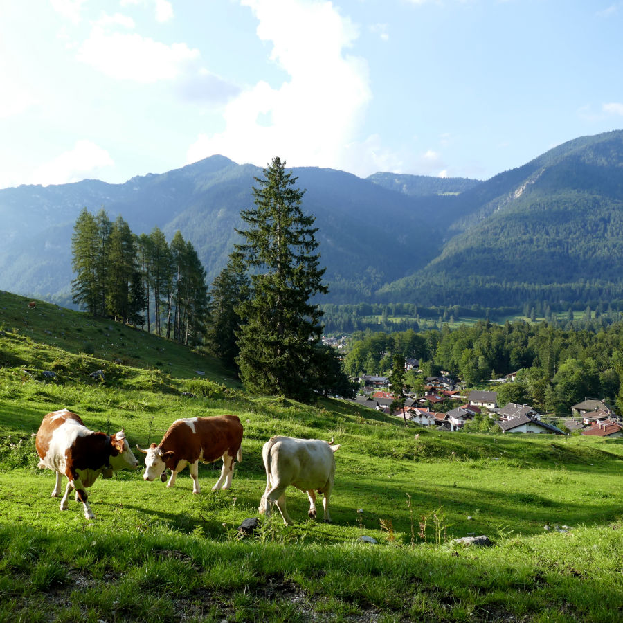  Höhenrainweg: The First Step To Discover Grainau