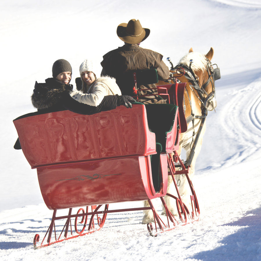 In A One-Horse Open Sleigh