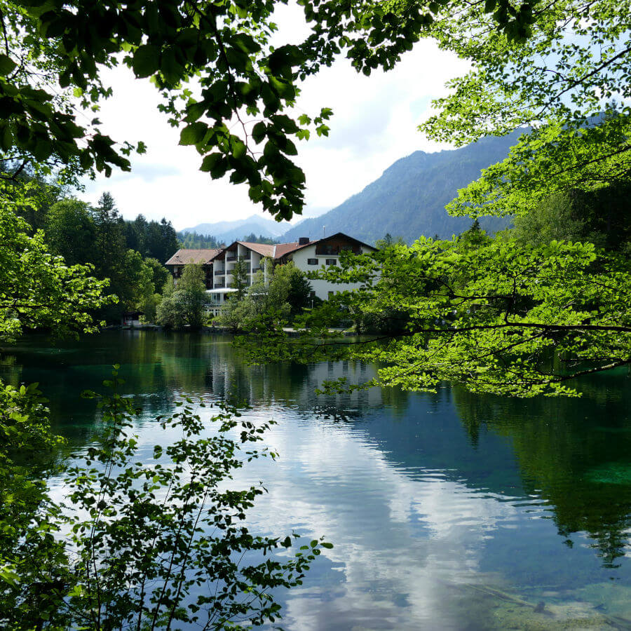 Natur Resonanz-Übungen mit NATURESPONSE®