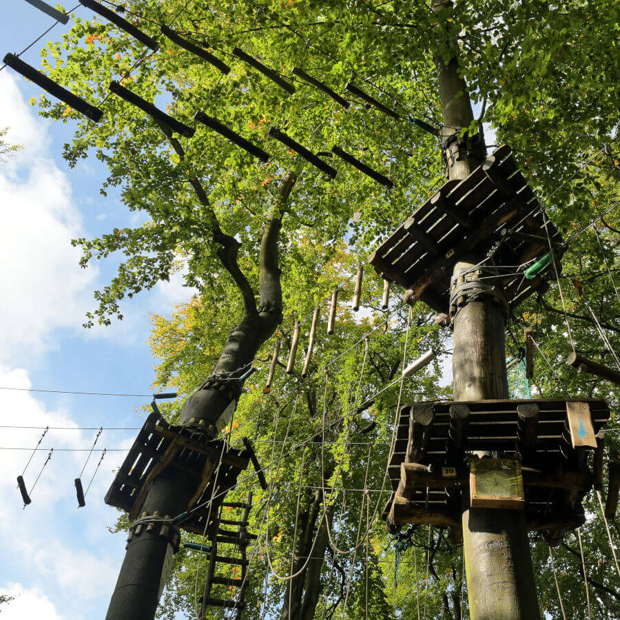 High Ropes Course